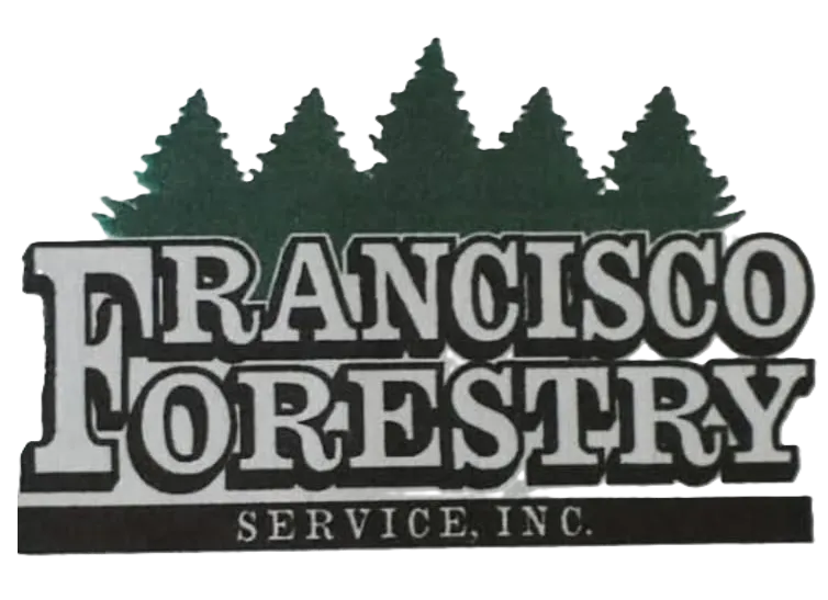 Francisco Forestry